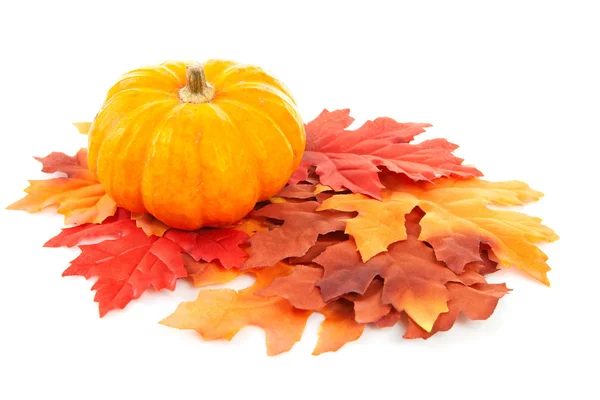 Abóbora e folhas de outono — Fotografia de Stock