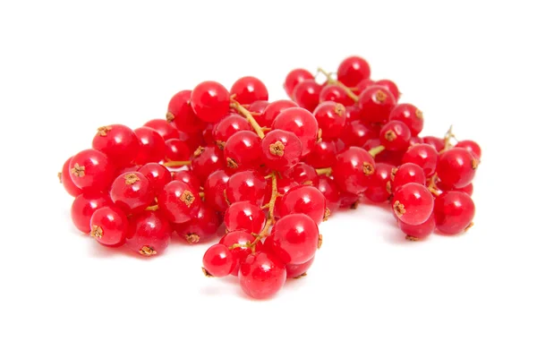 Cluster red berries — Stock Photo, Image