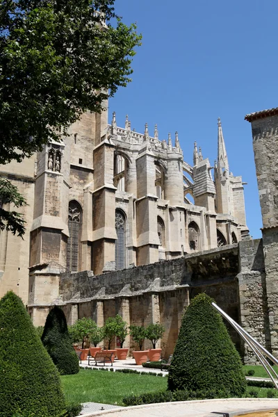 Katedralen st bara och pasteur Narbonne — Stockfoto