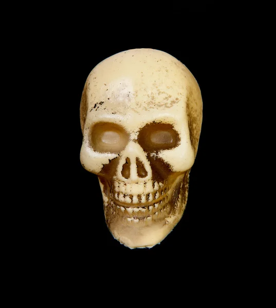stock image Plastic skull