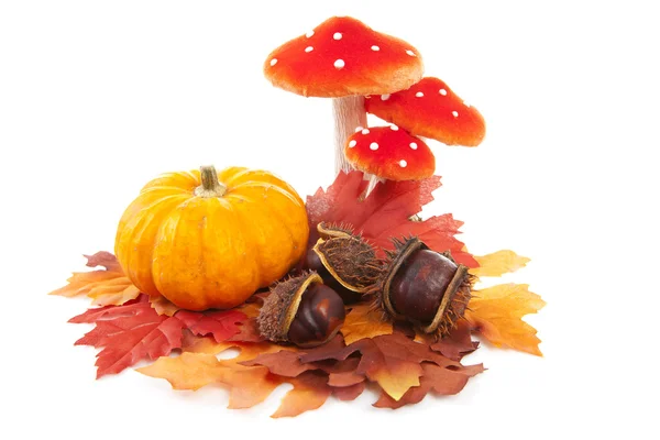 Pumpkin, chestnuts, mushroom and fake autumn leaves — Stock Photo, Image