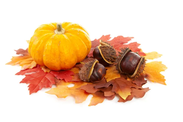 Гарбуз, каштани і підроблене осіннє листя — стокове фото