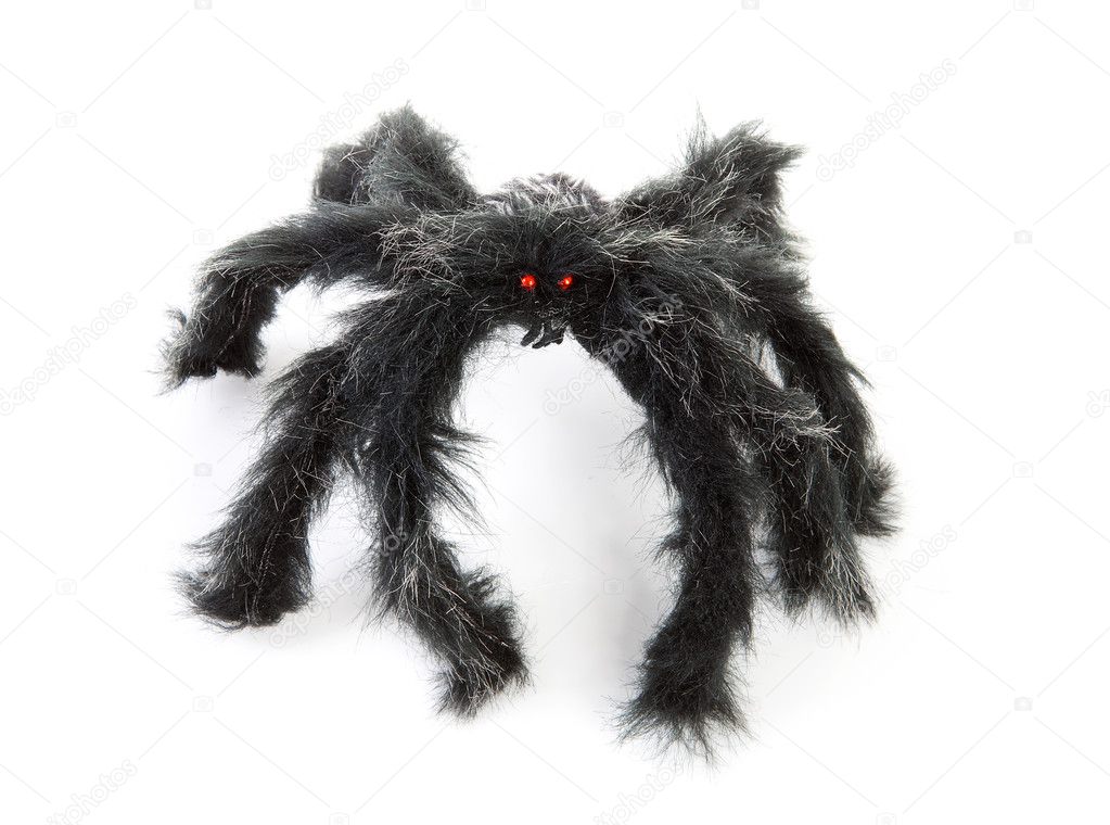 Black spider toy