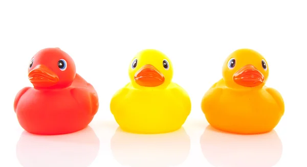 Three colorful ducks — Stock Photo, Image