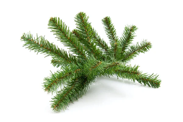 Plastové holé větvičky z vánočního stromu — Stock fotografie