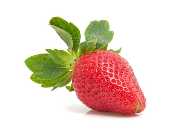 One fresh strawberries — Stock Photo, Image