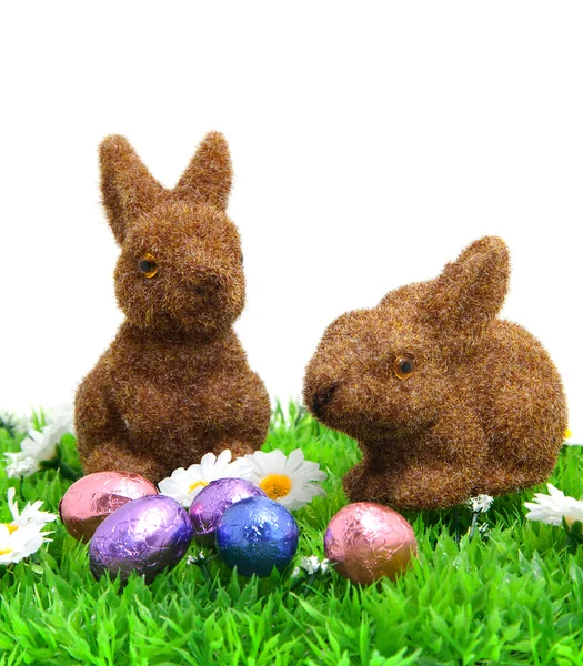 Twee brown bunny op gras met Pasen eieren — Stockfoto