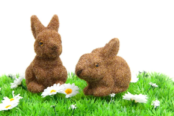 Dos conejitos marrones sobre hierba con margarita blanca —  Fotos de Stock