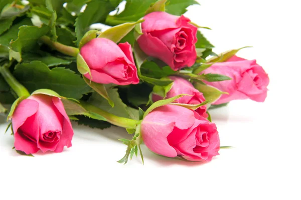 Bouquet di rose rosa — Foto Stock