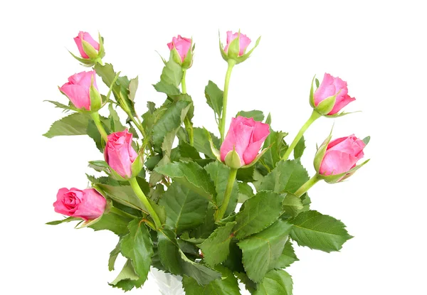 クローズ アップ ホワイト バック グラウンド上のピンクのバラの花束 — ストック写真