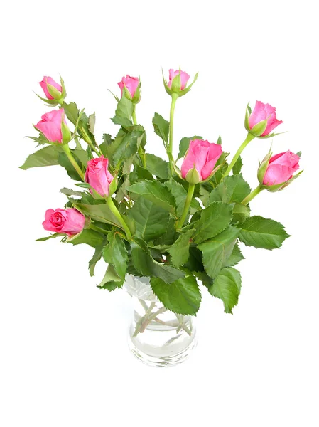 Strauß Rosa Rosen Der Vase Vor Weißem Hintergrund — Stockfoto