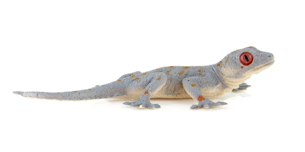 Plastic Salamander Toy Isolated White Background — Stock Photo, Image