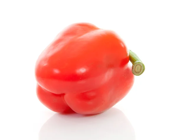 One Fresh Red Paprika White Background — Stock Photo, Image