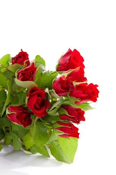 Strauß roter Rosen in Nahaufnahme — Stockfoto