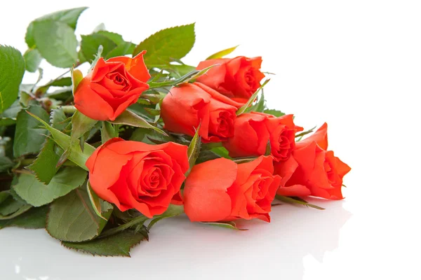 Strauß Roter Rosen Nahaufnahme Vor Weißem Hintergrund — Stockfoto