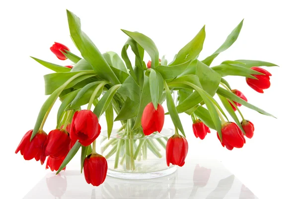 白い背景の上の花瓶に赤いチューリップの花束 — ストック写真