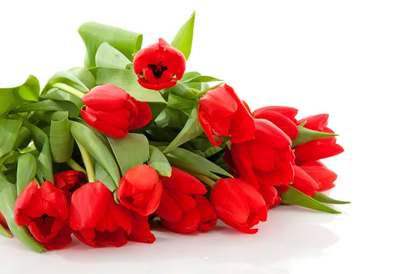 Kytice Červených Tulipánů Nad Bílým Pozadím — Stock fotografie