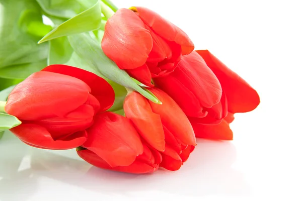 stock image Bouquet of red tulips