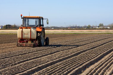 Tractor working on Dutch flower bulb field clipart
