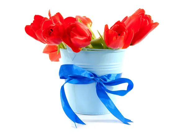 Secchio Blu Con Tulipani Olandesi Rossi Sfondo Bianco — Foto Stock
