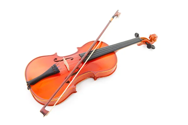 Violino Isolato Sfondo Bianco — Foto Stock