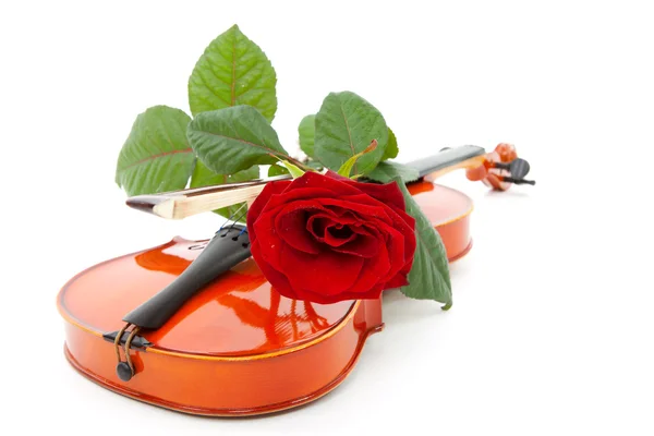 Geige und rote Rose — Stockfoto