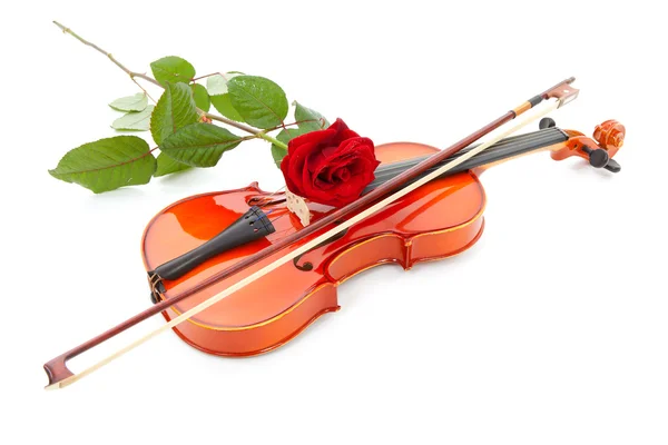 ヴァイオリンと白い背景で隔離の赤いバラ — ストック写真