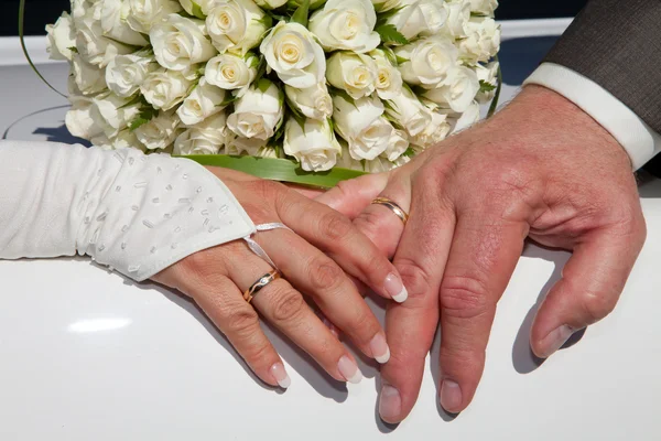 Hands Bride Groom Closeup — Stock Photo, Image