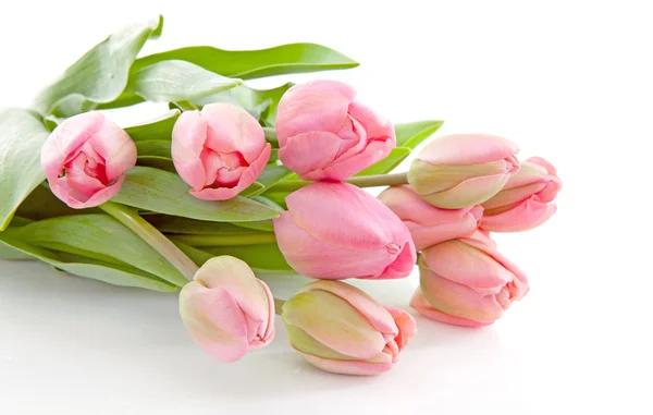 Ramo de tulipanes rosados holandeses — Foto de Stock