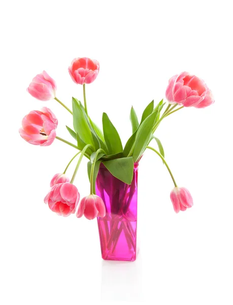 Tulipas holandesas em vaso rosa — Fotografia de Stock