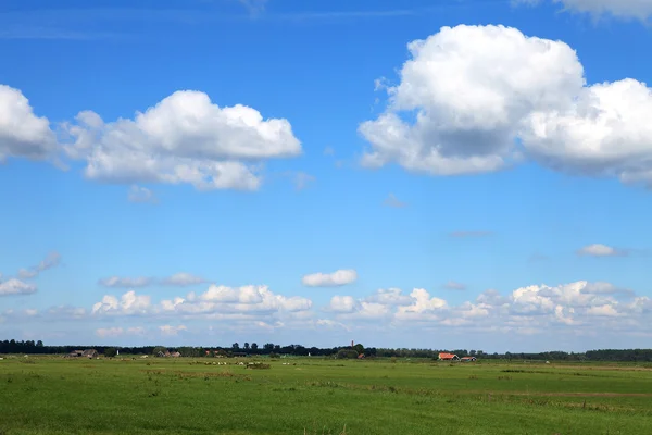 Typical Dutch landscape — Stock Photo, Image