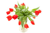 Картина, постер, плакат, фотообои "bouquet of red tulips", артикул 5180272