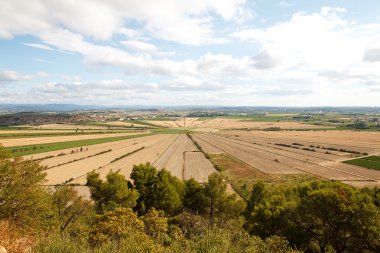 Oppidum d'Enserune bir antik hill-merkezidir