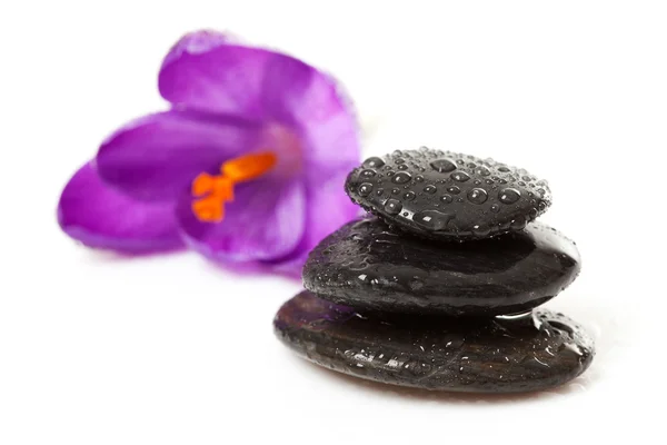 Haufen aus drei schwarzen Kieselsteinen mit Wassertropfen — Stockfoto