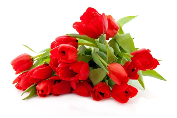 Ramo de tulipanes rojos —  Fotos de Stock