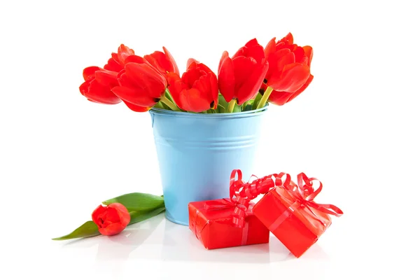 Secchio con tulipani e regali rossi — Foto Stock