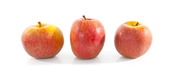 Três maçãs vermelhas sobre fundo branco — Fotografia de Stock