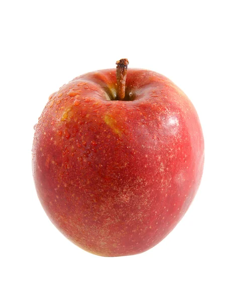 Beyaz zemin üzerinde bir Kırmızı elma — Stok fotoğraf