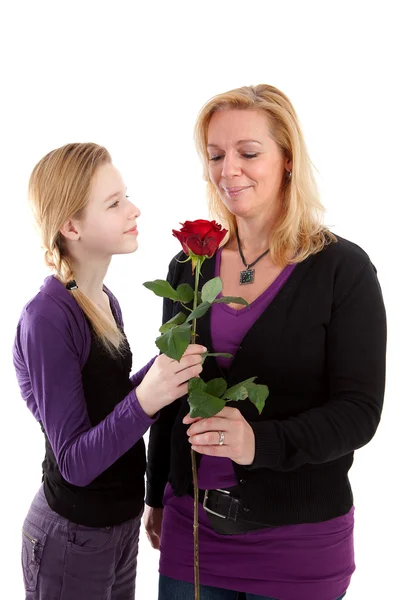 Young girl gives rose to mother — Stock Photo, Image