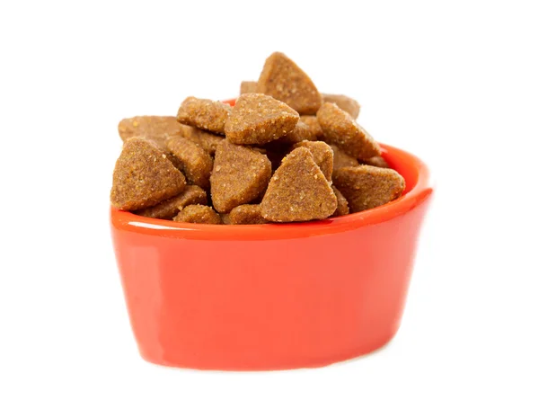 Tigela com comida de gato seco — Fotografia de Stock