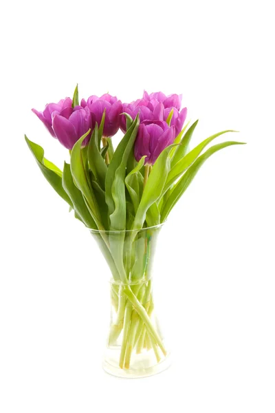 Purple Dutch tulips in vase — Stock Photo, Image