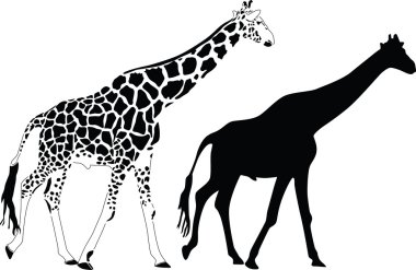 Giraffe silhouette vector africa savanna wildlife animal clipart