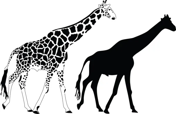 长颈鹿剪影矢量非洲大草原野生动物 — 图库矢量图片