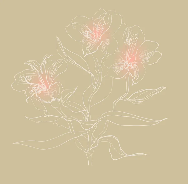 Щітка малювання alstrameriya — стоковий вектор