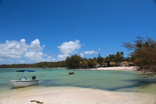 东的代价 景观在毛里求斯 拍摄于 2010 — 图库照片