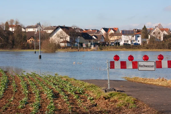 Από Τις Πλημμύρες Στην Hessen Γερμανία Φωτογραφήθηκε Τον Ιανουάριο Του — Φωτογραφία Αρχείου