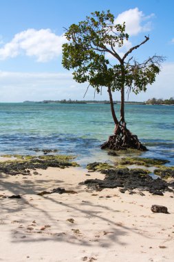 West Coast Mauritius