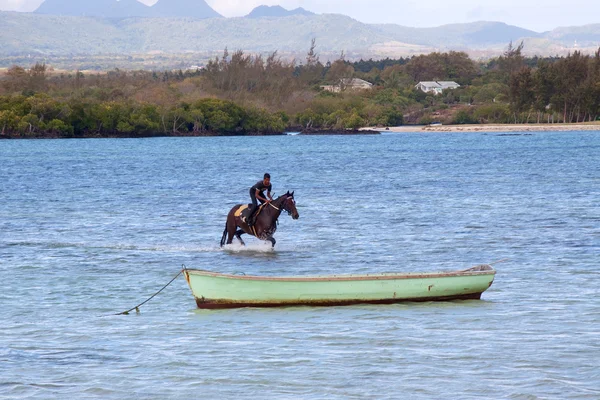 水骑马 — 图库照片