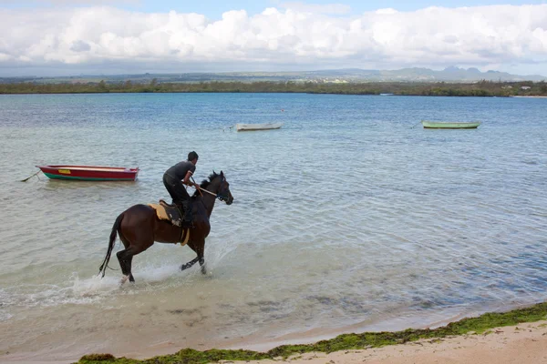 水骑马 — 图库照片