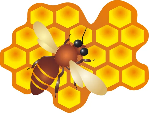 Vetor abelha e mel —  Vetores de Stock